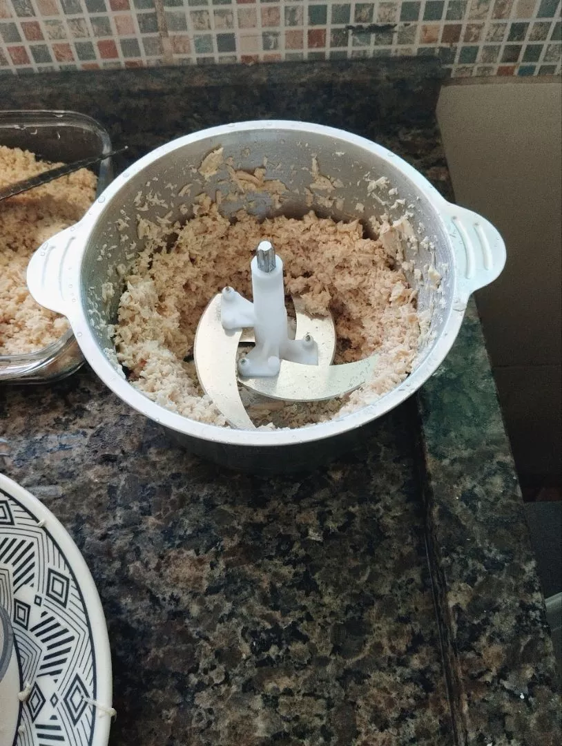 Foto de avaliação de Camila R. usando o multiprocessador elétrico