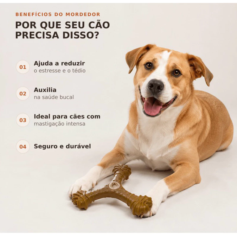 Cachorro deitado com o mordedor entre as patas e benefícios do brinquedo